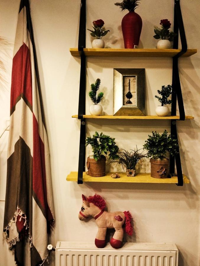 Apartament Maria Sidi Bou Ali Zewnętrze zdjęcie